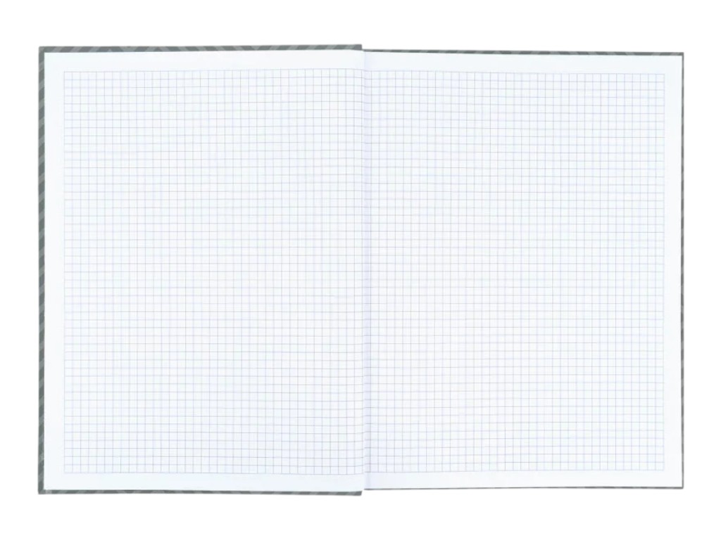 Книга записная Pattern Axent 8425-2-A, A4, клетка, 96 листов, серая