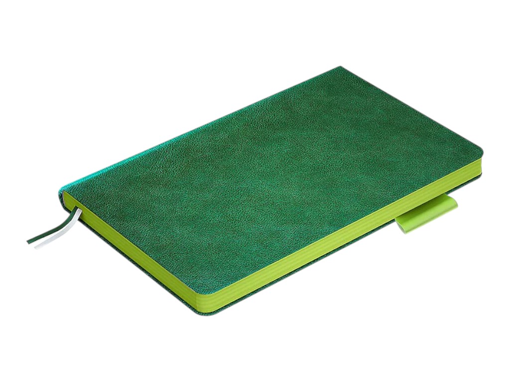 Щоденник датований Partner Soft Muse 2026 Axent 8527-26-2-A, 125×195 мм, зелений