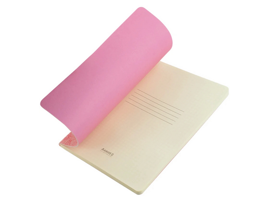 Книга записная А5 Axent Morning Dew 2 8710-6-A-TR, 60 листов, клетка