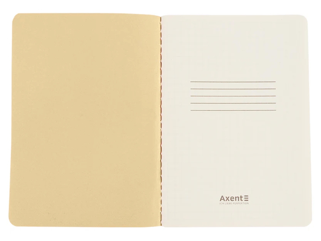 Книга записная А6 Axent Secret Garden 8711-1-A-TR, 60 листов, клетка
