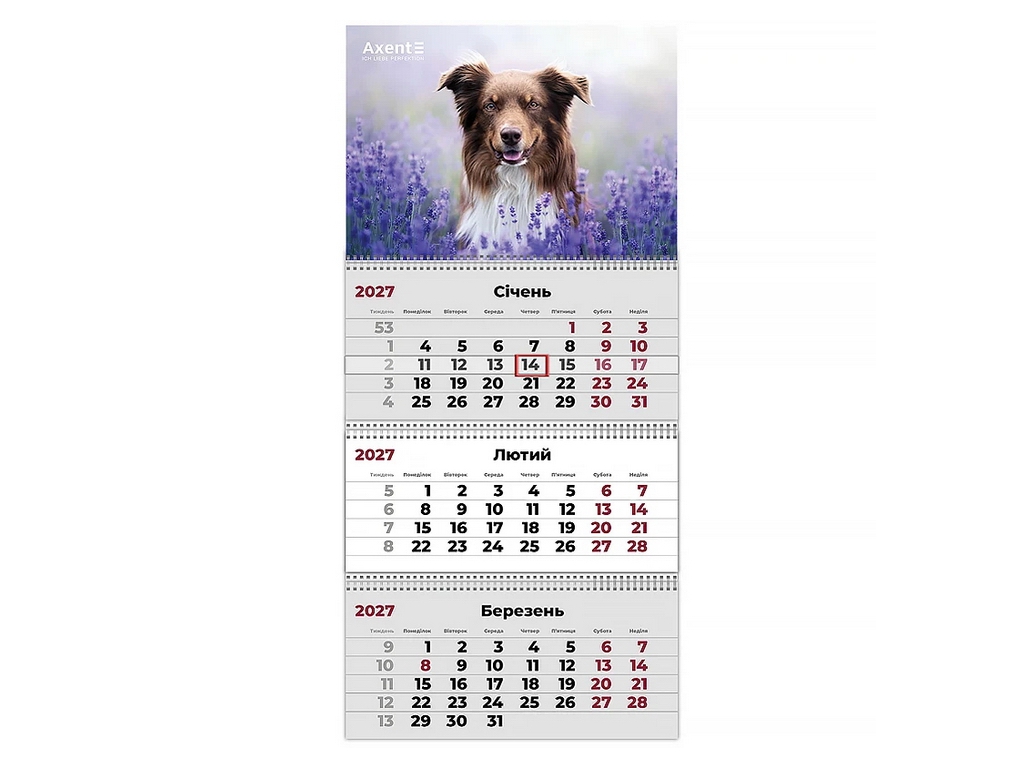 Календарь настенный квартальный Axent Dogs 1 на 2027 год, 3 пружины, 297×630 мм