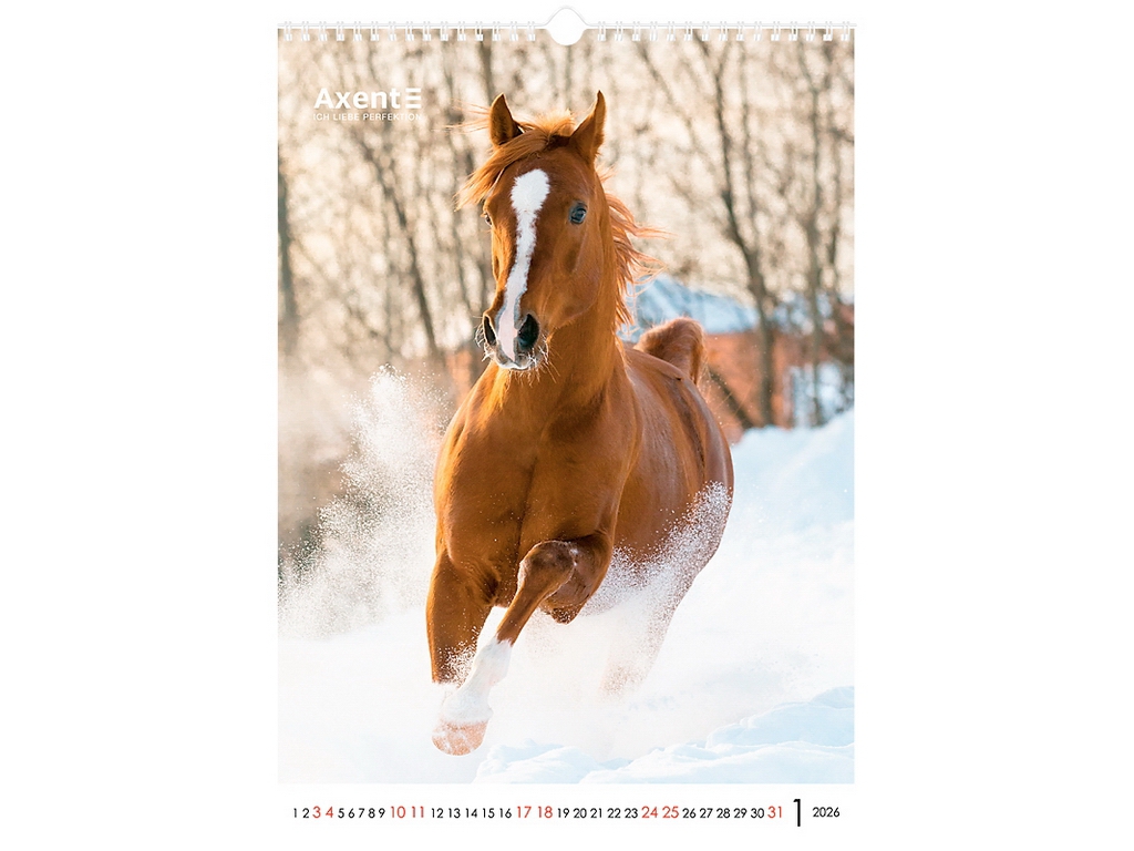 Календарь настенный А3 на 2026 год, Horses, Axent.