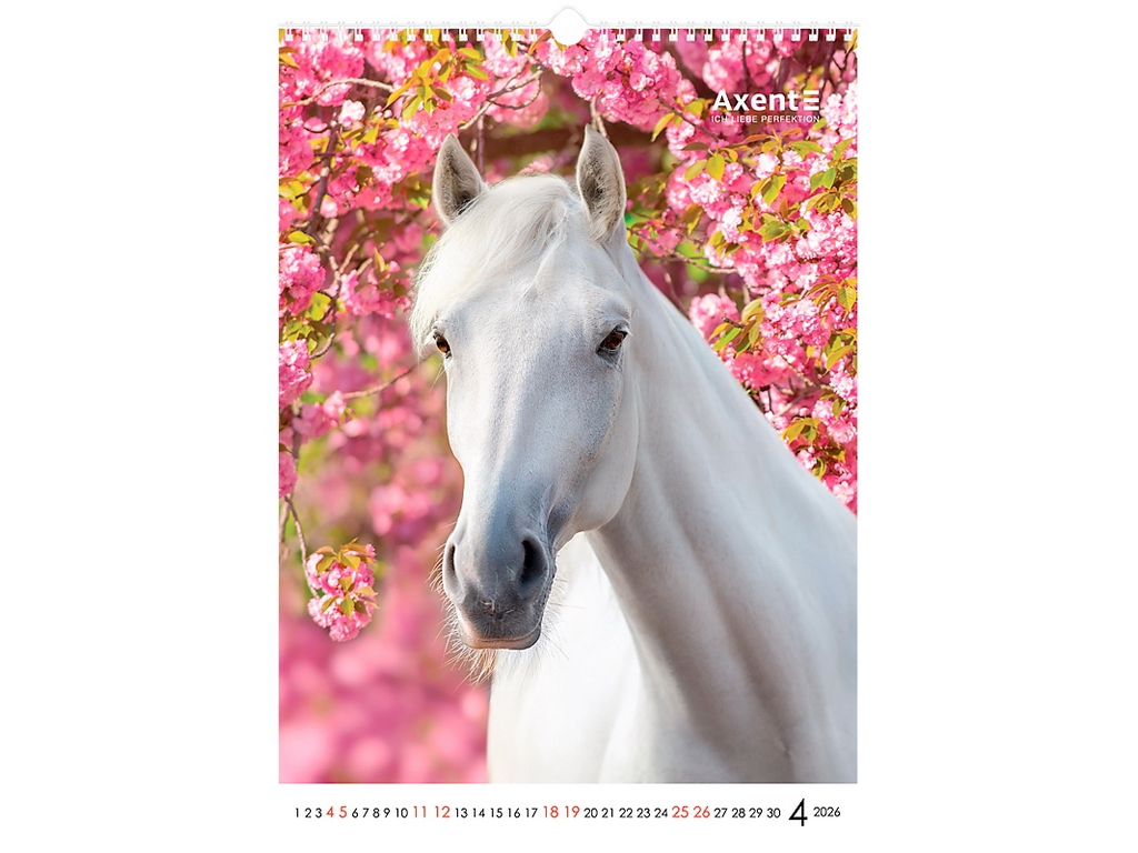 Календарь настенный А3 на 2026 год, Horses, Axent.