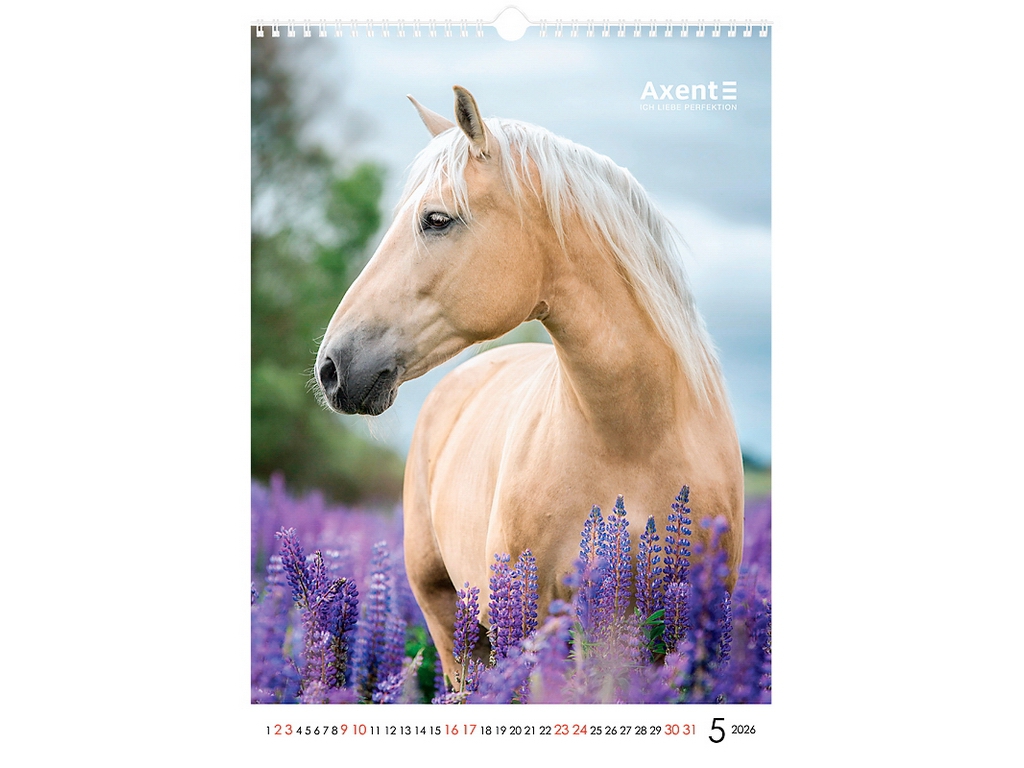 Календарь настенный А3 на 2026 год, Horses, Axent.