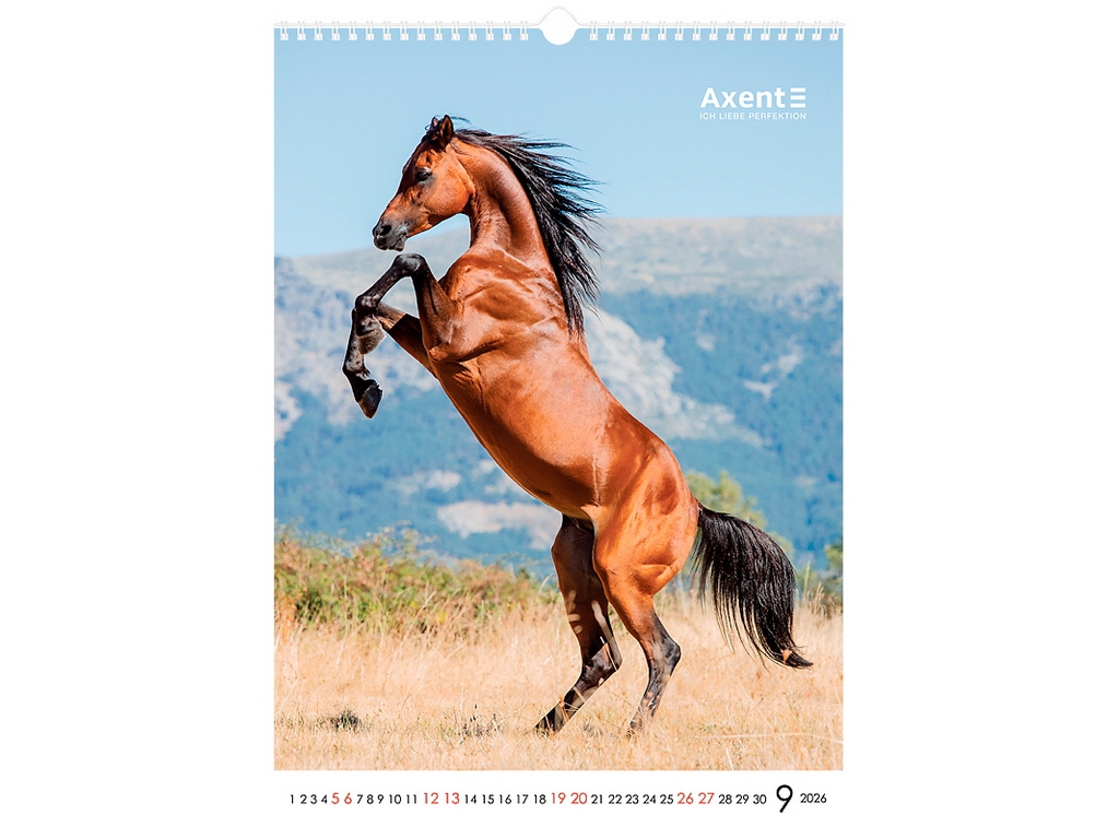 Календарь настенный А3 на 2026 год, Horses, Axent.