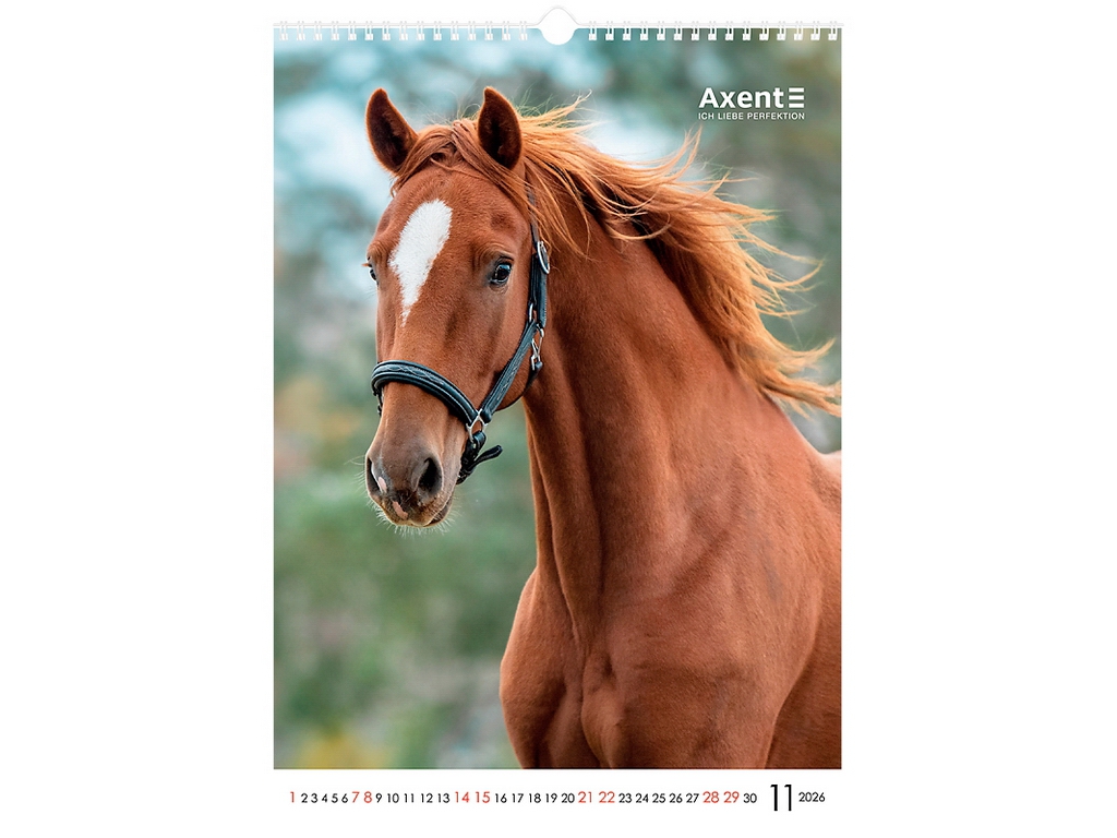 Календарь настенный А3 на 2026 год, Horses, Axent.