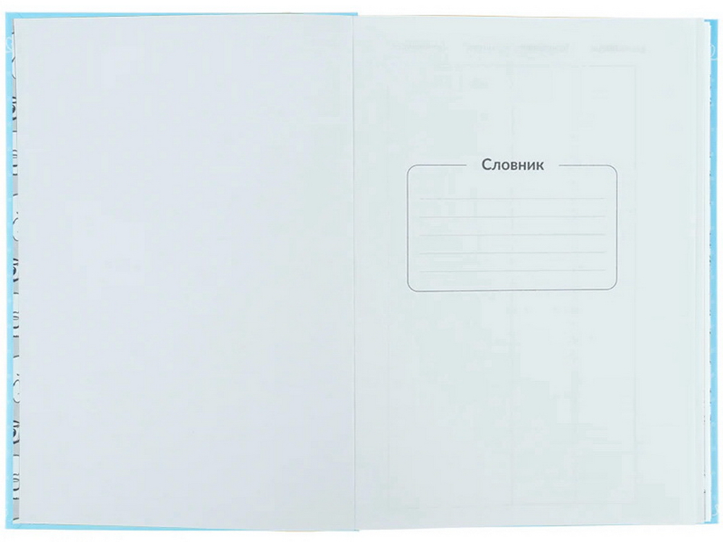Словник з іноземної мови Kite Cinnamoroll CR26-407, 60 аркушів