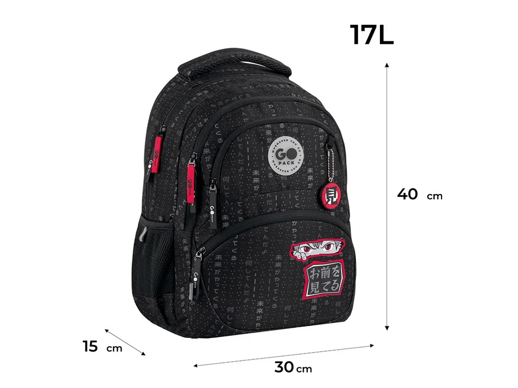 Рюкзак шкільний ортопедичний GoPack GO26-175M-8, 2 відділення