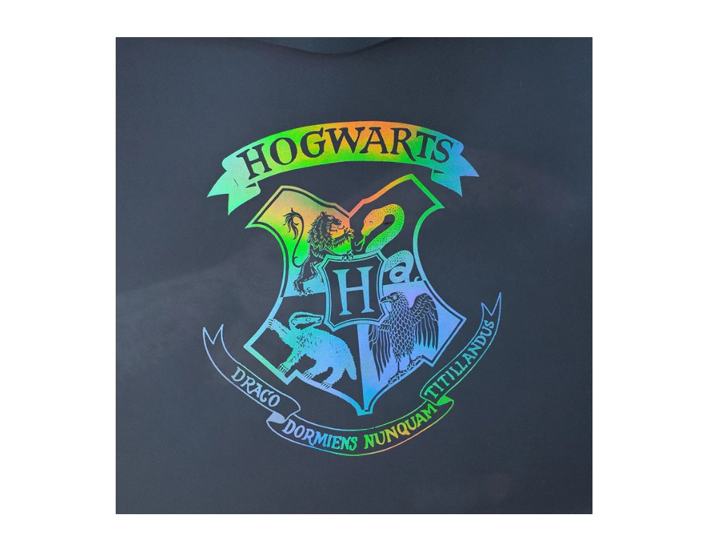 Папка на кнопці Kite Harry Potter HP25-244-2, формат A4, поліпропілен, Kite