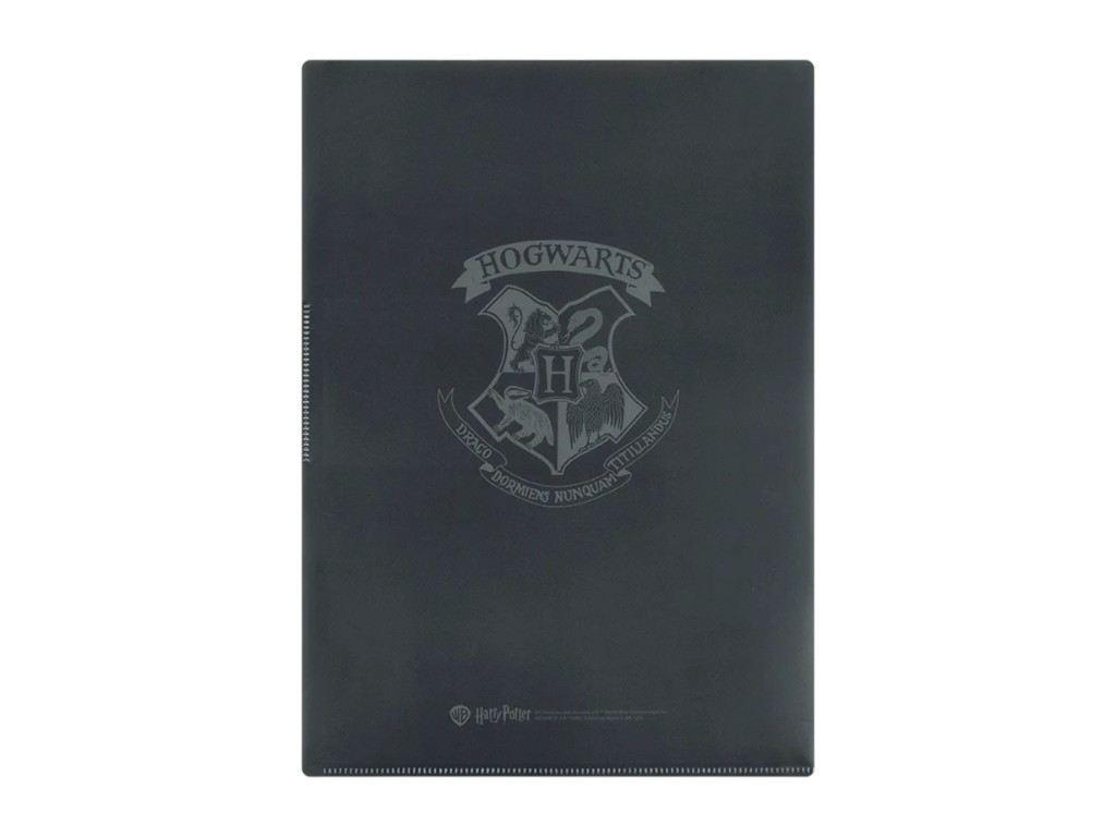 Папка-куточок з клапаном Harry Potter HP25-248-2, формат A4, поліпропілен, Kite
