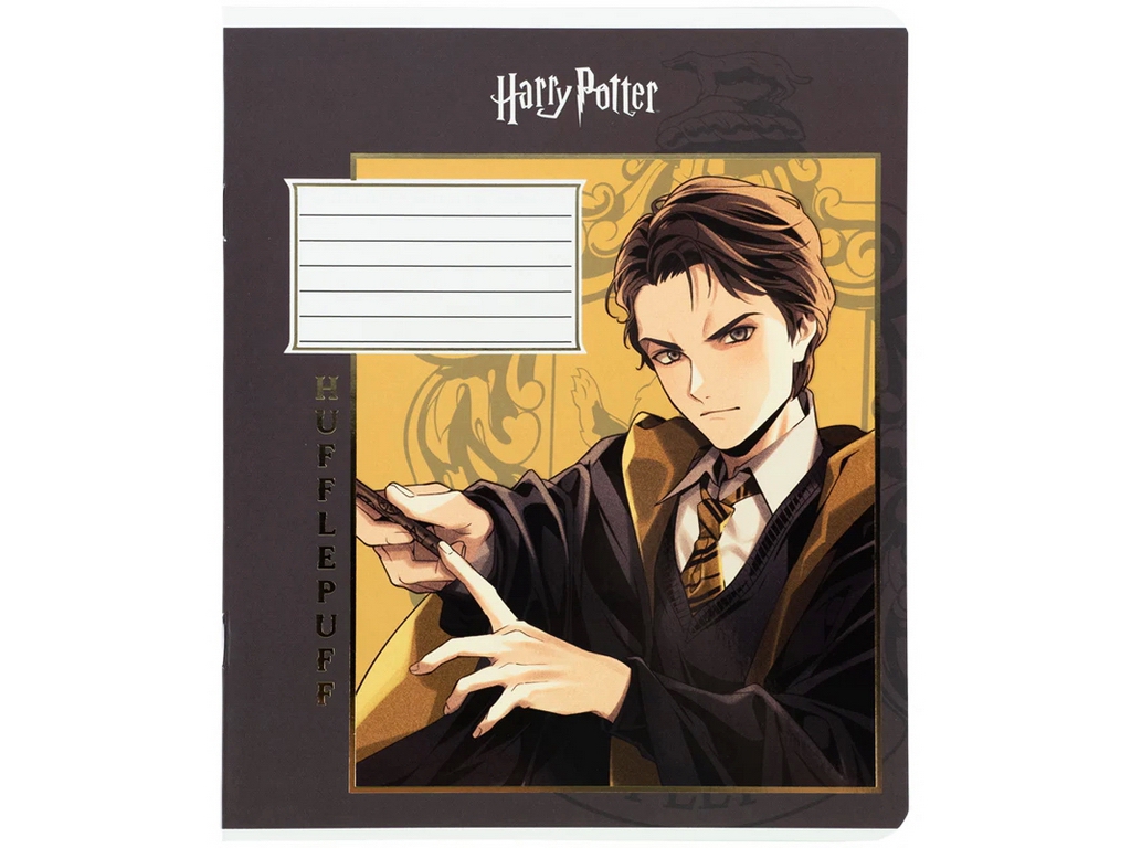 Зошит у лінію Harry Potter Kite HP26-234, 12 аркушів, мікс видів, ціна за 1 шт