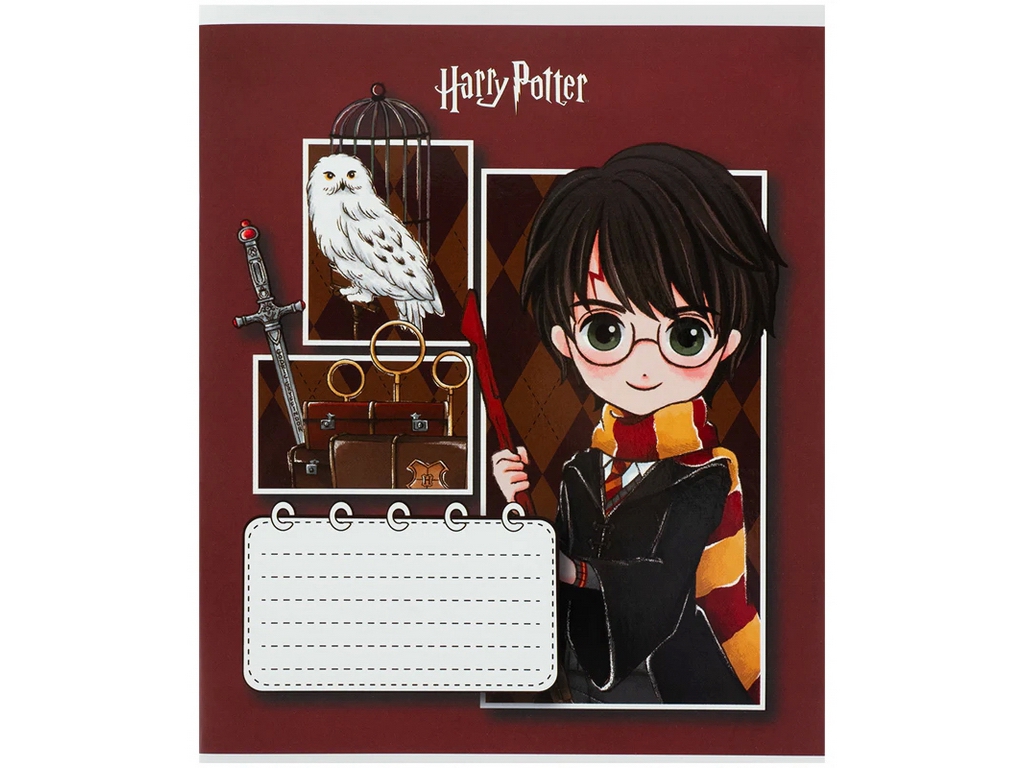 Зошит у косу лінію Harry Potter Kite HP26-235, 12 аркушів, мікс видів, ціна за 1 шт