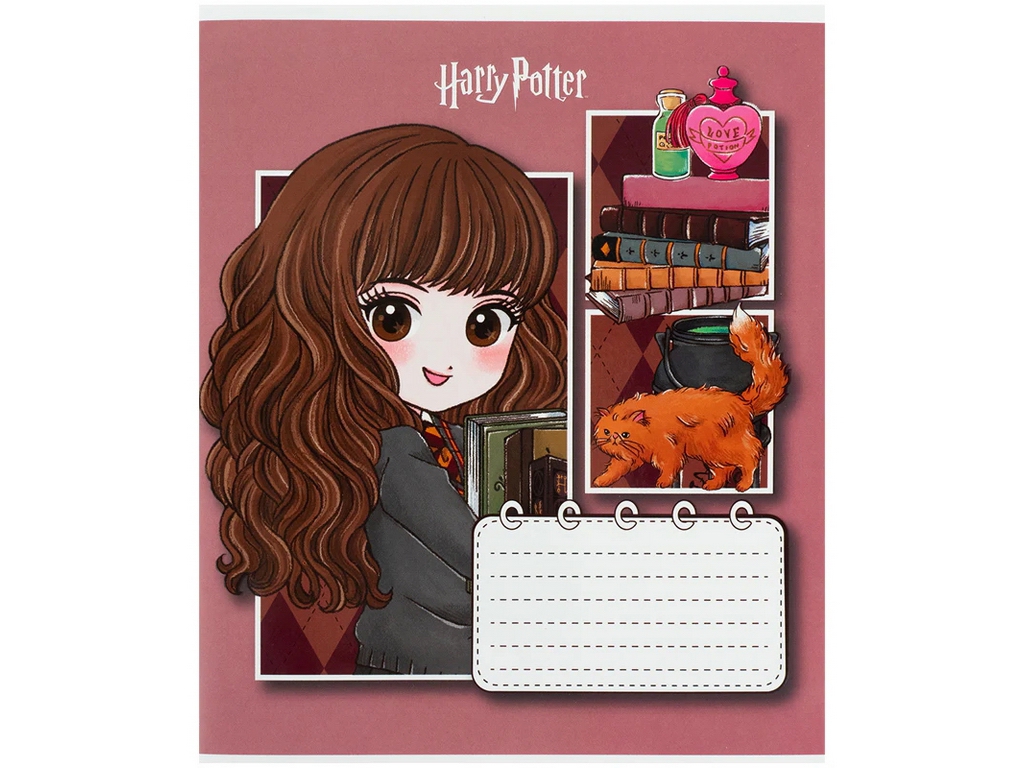 Зошит у косу лінію Harry Potter Kite HP26-235, 12 аркушів, мікс видів, ціна за 1 шт