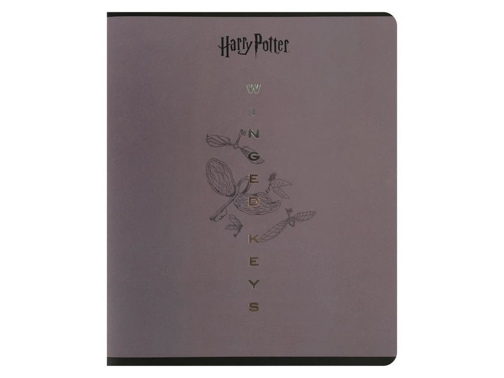 Зошит шкільний  у лінію Kite Harry Potter, 24 аркуші, мікс видів, цііна за 1шт