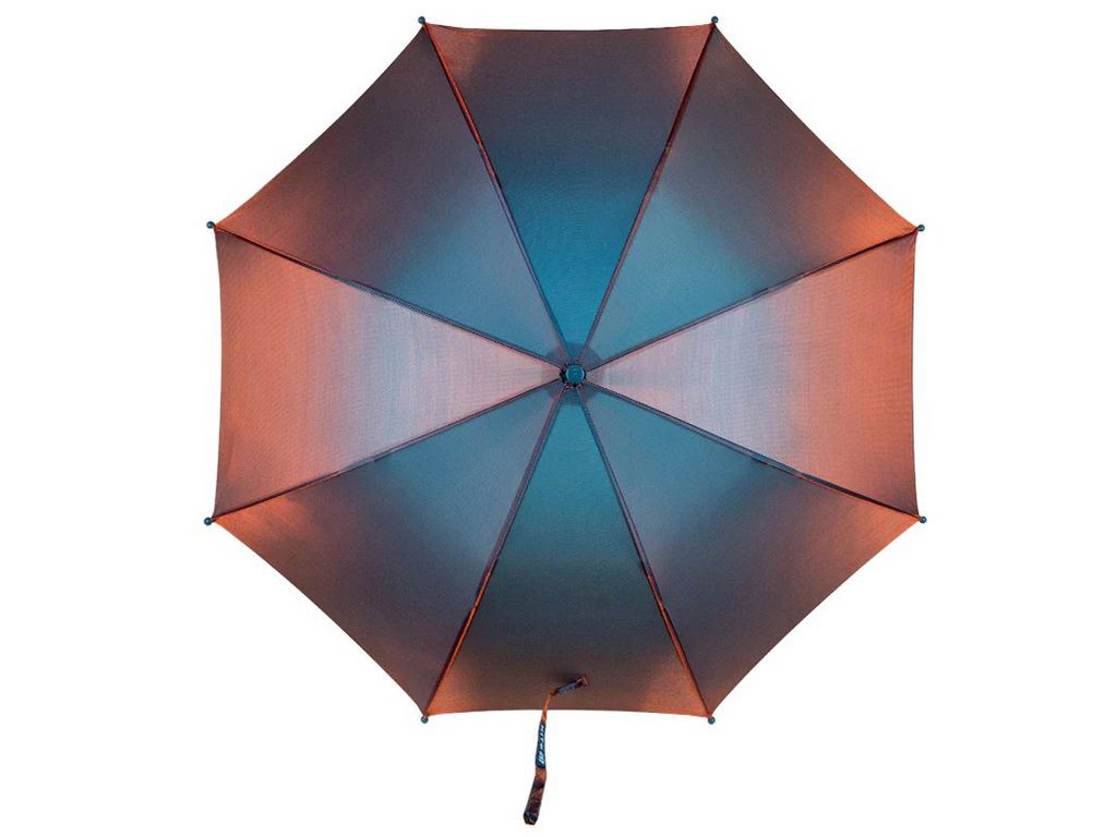 Парасоля дитяча сірий хамелеон, Kite