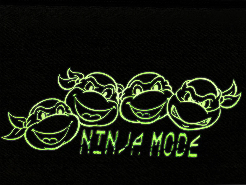Пенал на 1 відділення Kite Ninja Turtles NT26-642