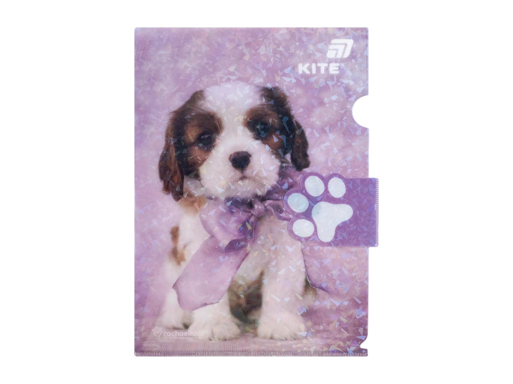 Папка-куточок з клапаном Rachael Hale R25-248, A4, поліпропілен, Kite