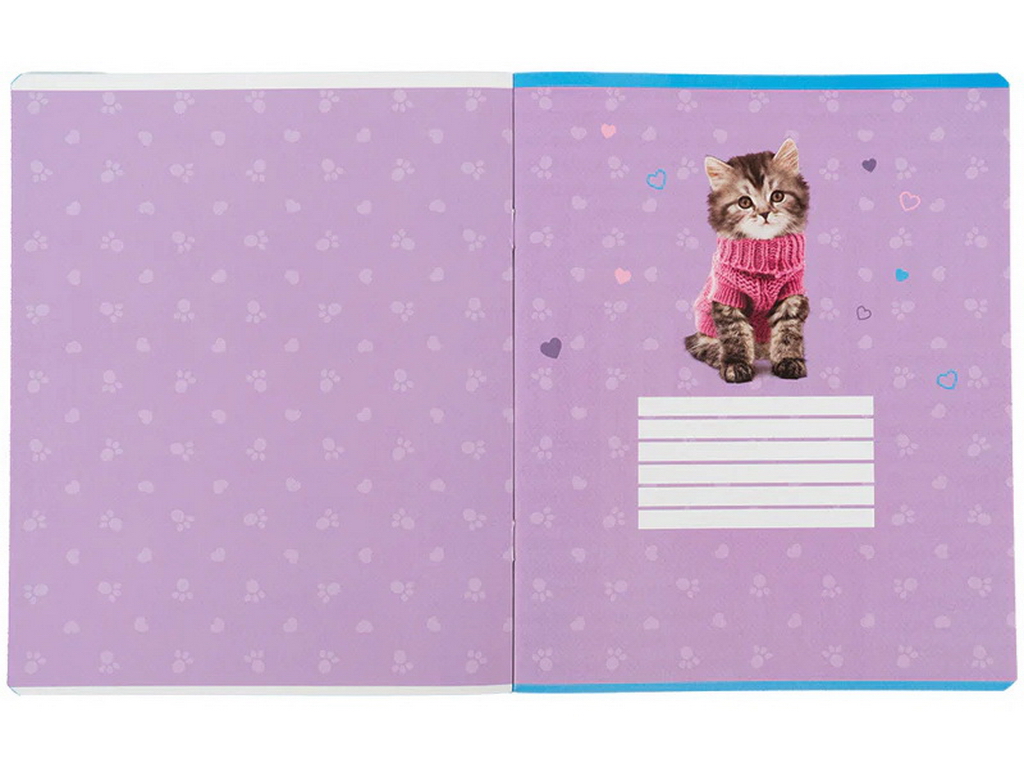 Зошит у клітинку Studio Pets Kite SP26-238, 24 аркуша, мікс видів, ціна за 1шт