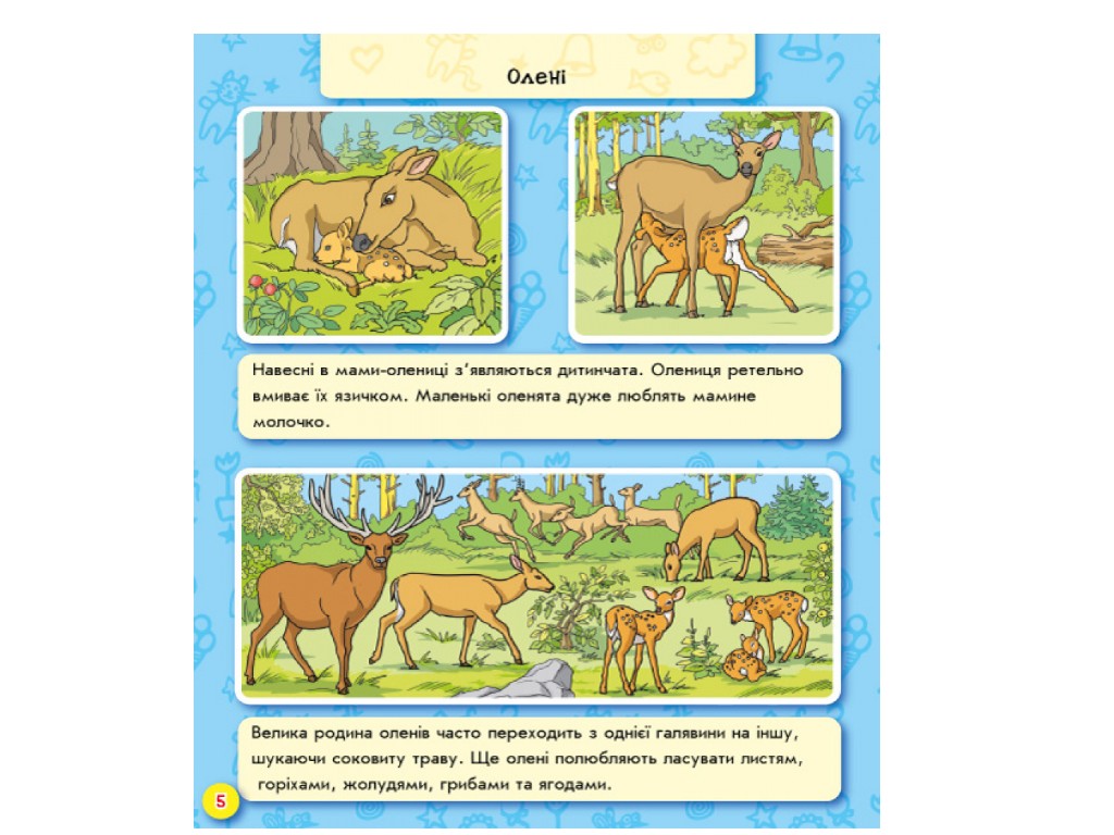 Книга «Мир животных», возраст 2–4, Ранок