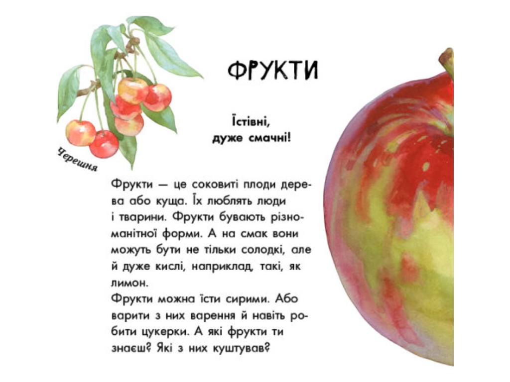 В гостях у природы, О растениях, Ранок