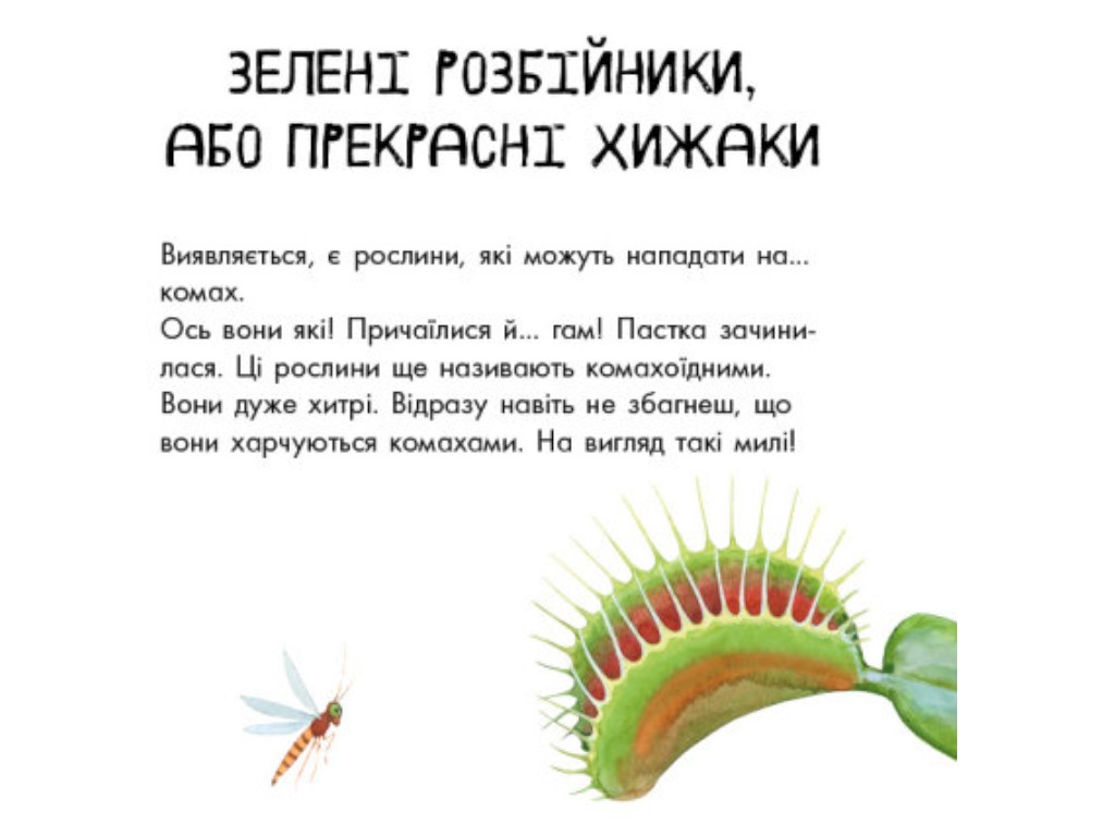 В гостях у природы, О растениях, Ранок