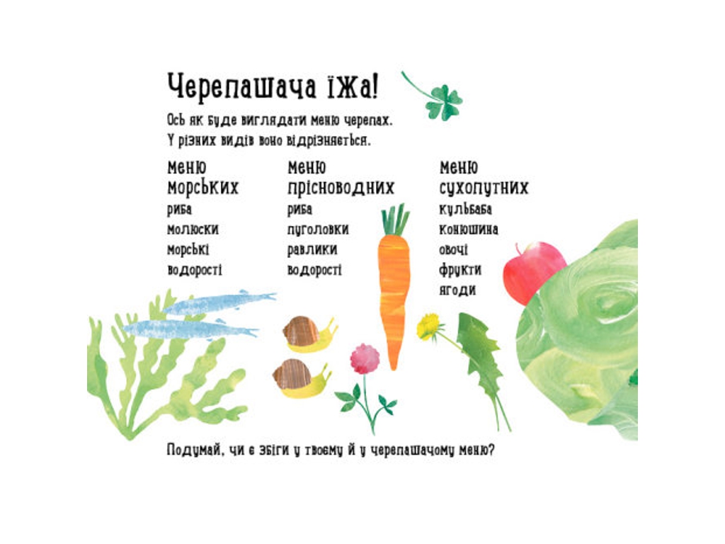 Детская книга "Куда девалась черепаха?", Н. Чуб, Ранок