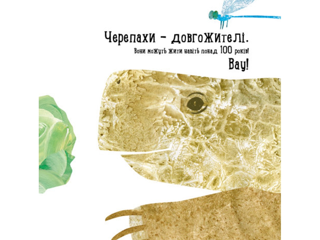 Детская книга "Куда девалась черепаха?", Н. Чуб, Ранок