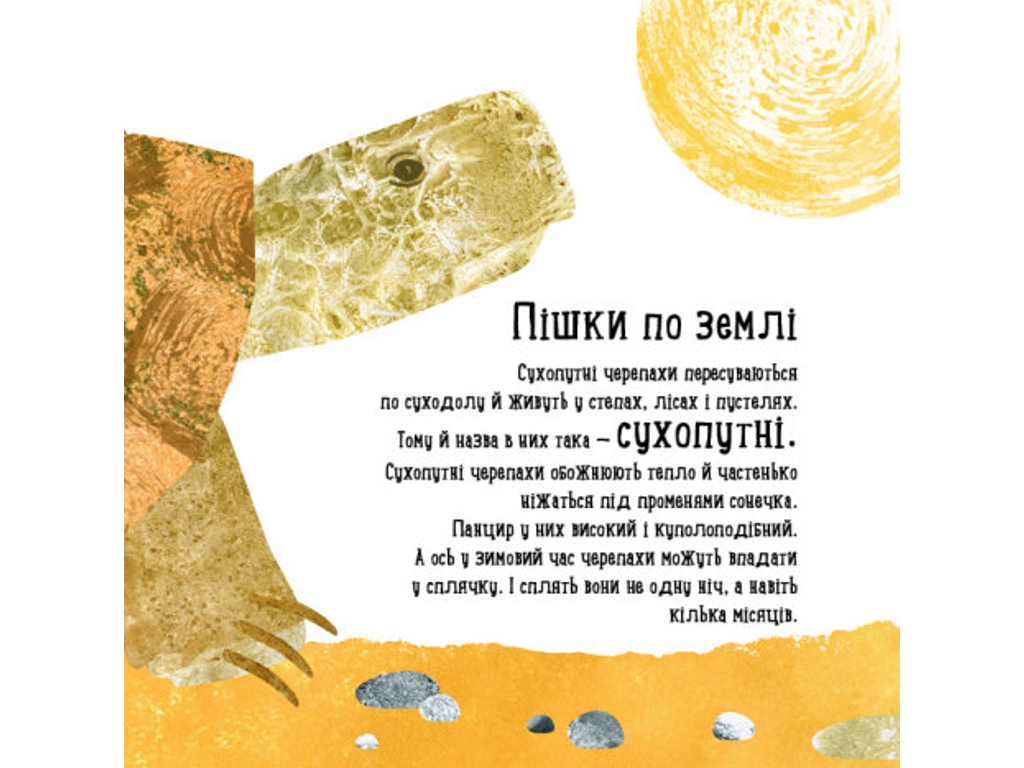 Детская книга "Куда девалась черепаха?", Н. Чуб, Ранок