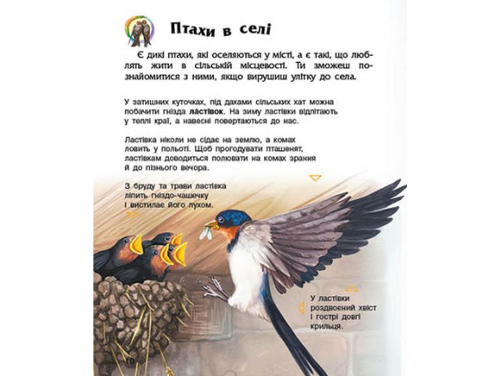 Энциклопедия "Птицы", возраст 2-6, Ю. Каспарова, Ранок