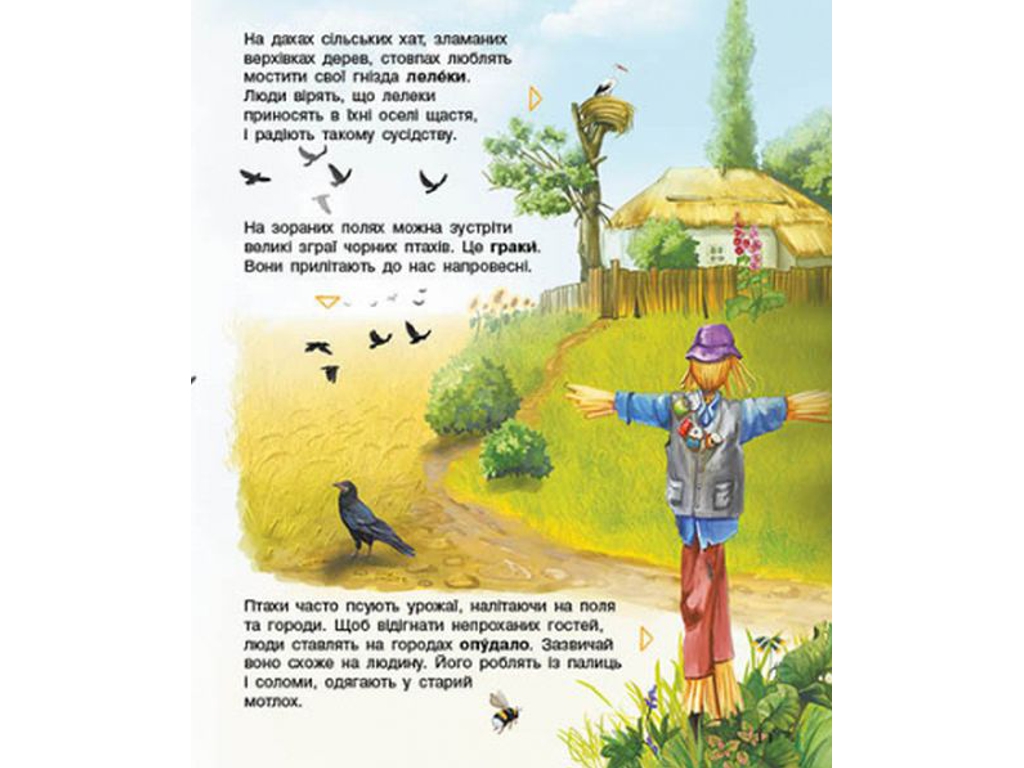 Энциклопедия "Птицы", возраст 2-6, Ю. Каспарова, Ранок