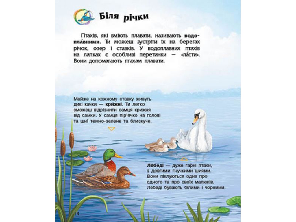 Энциклопедия "Птицы", возраст 2-6, Ю. Каспарова, Ранок