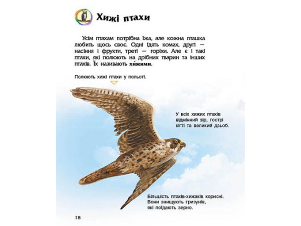 Энциклопедия "Птицы", возраст 2-6, Ю. Каспарова, Ранок
