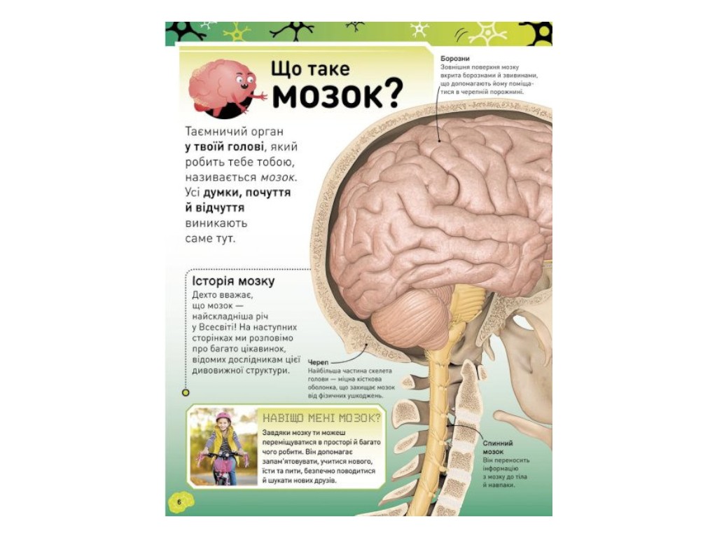 Энциклопедия "Карколомный мозг", 7-9 лет, Лиам Дрю, Ранок