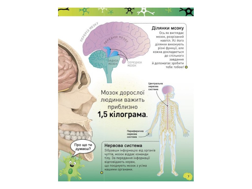 Энциклопедия "Карколомный мозг", 7-9 лет, Лиам Дрю, Ранок