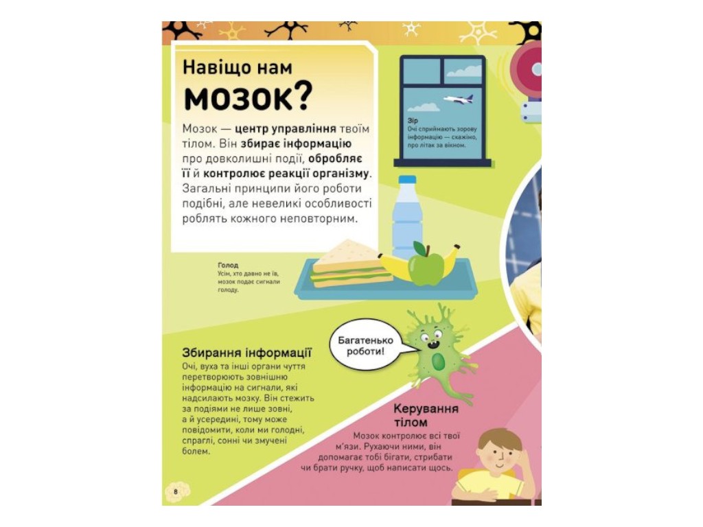 Энциклопедия "Карколомный мозг", 7-9 лет, Лиам Дрю, Ранок