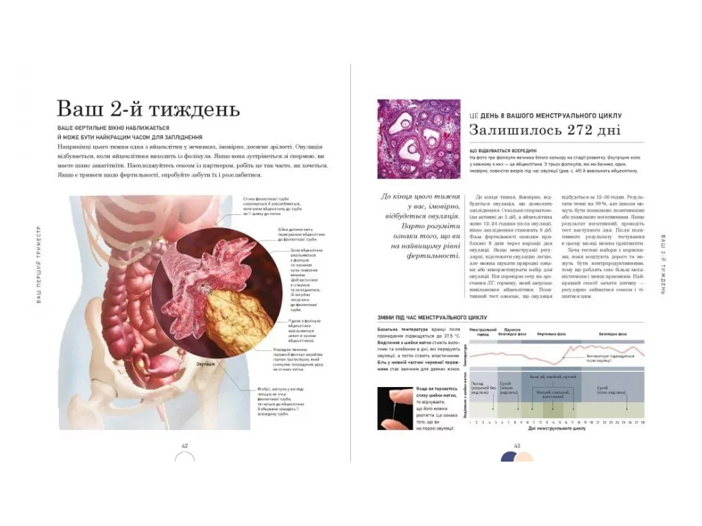 Энциклопедия "Беременность день за днем", 496 с., Мэгги Блотт, Ранок