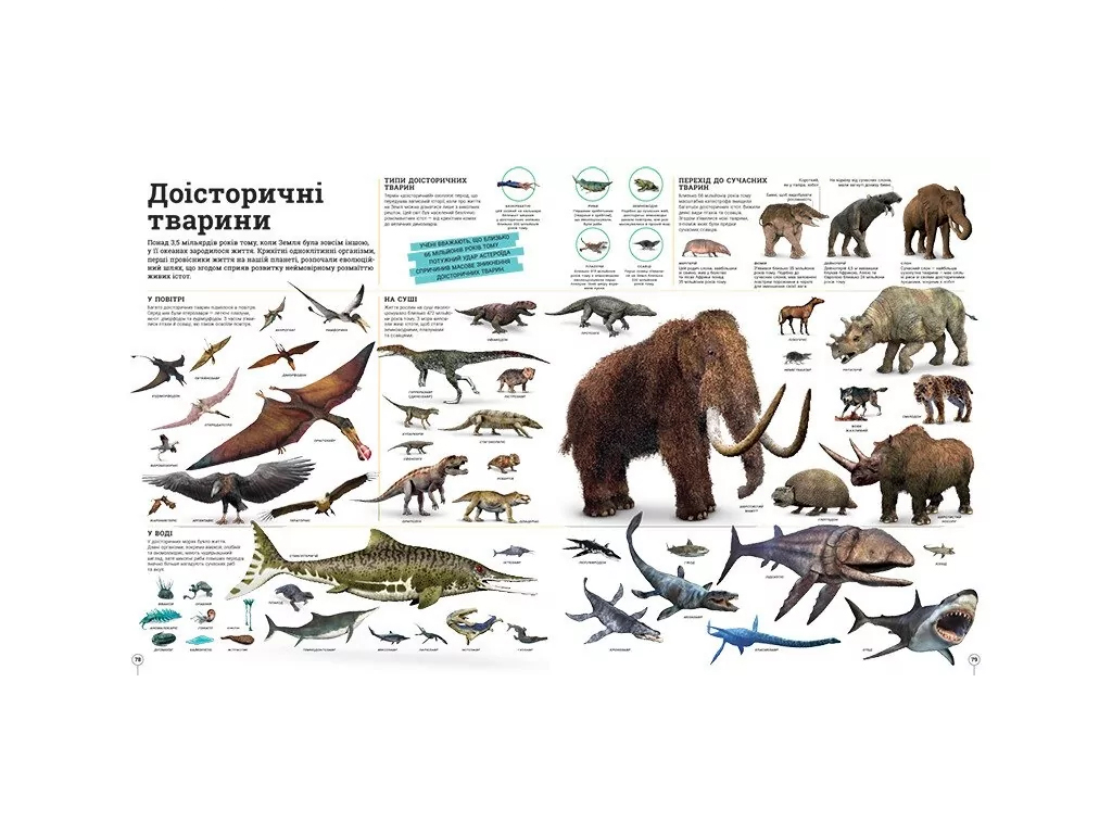 Книга "Дивипедия", серия "Энциклопедии DK", Ранок