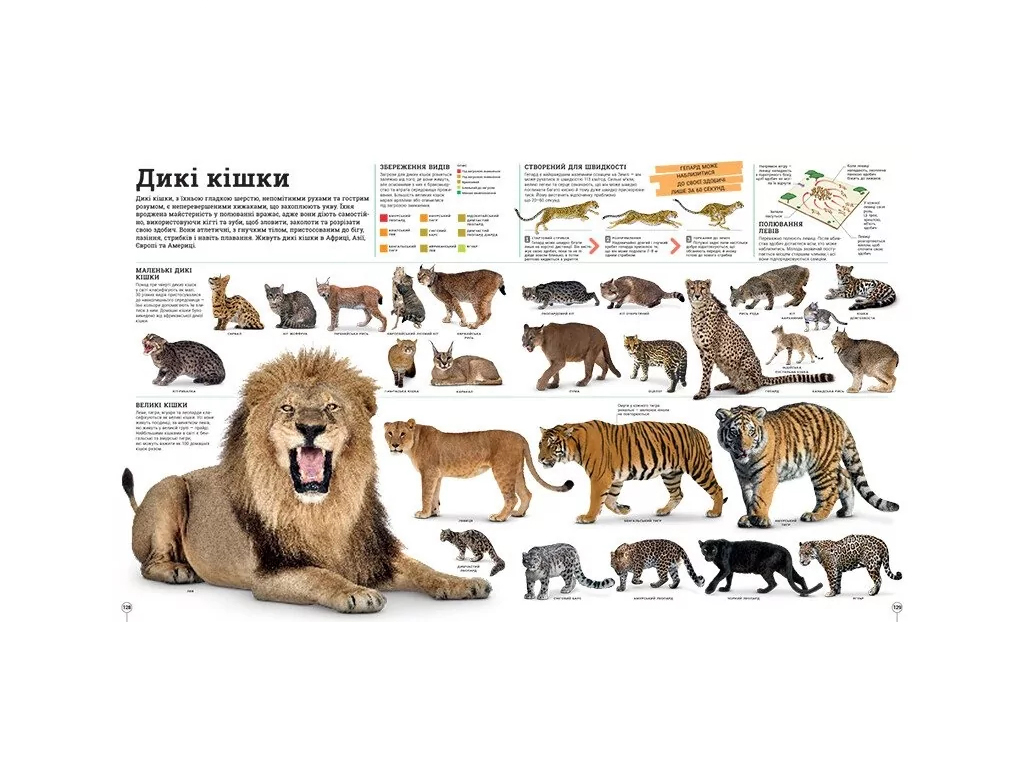 Книга "Дивипедия", серия "Энциклопедии DK", Ранок