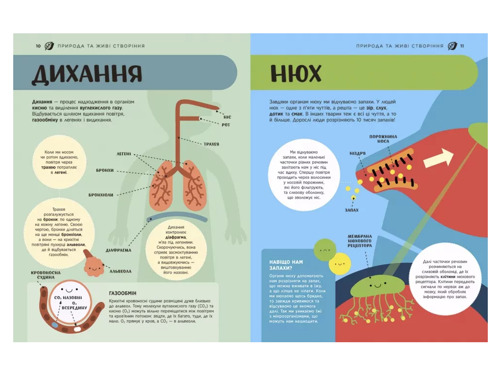 Энциклопедия "STEM для детей 100 понятий для будущего гения", 6+, Ранок