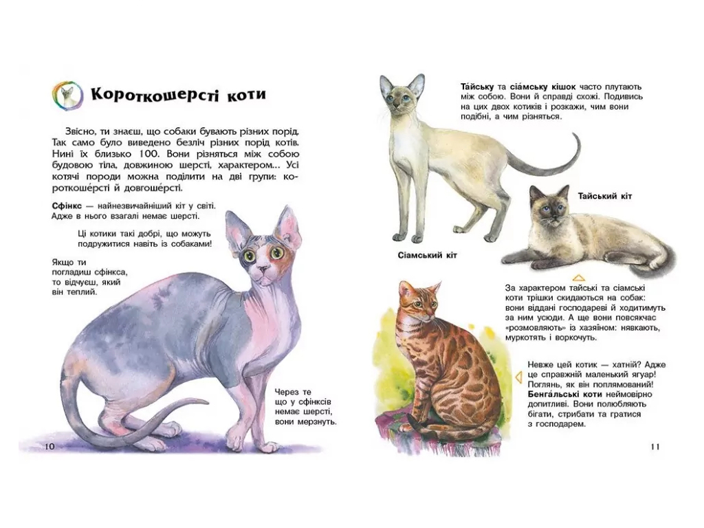 Энциклопедия дошкольника, Коты, Ранок