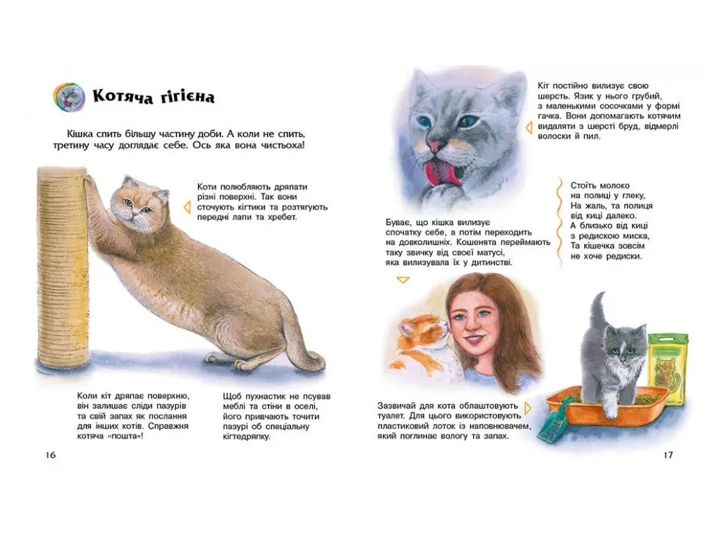 Энциклопедия дошкольника, Коты, Ранок