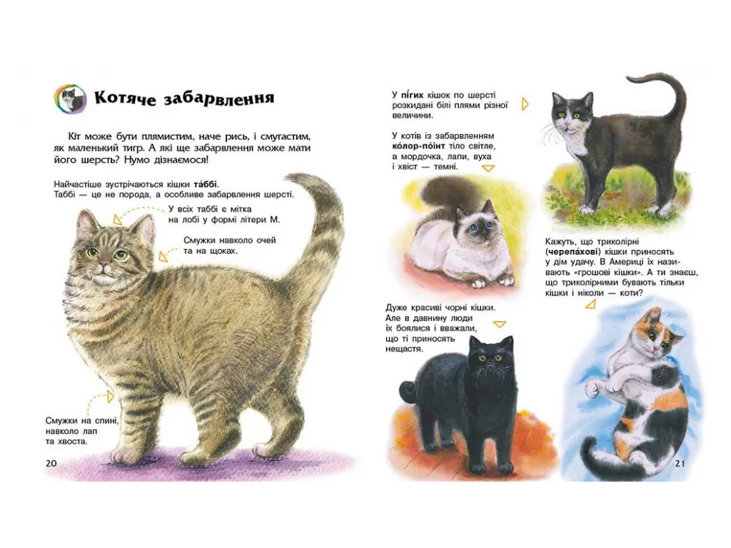 Энциклопедия дошкольника, Коты, Ранок