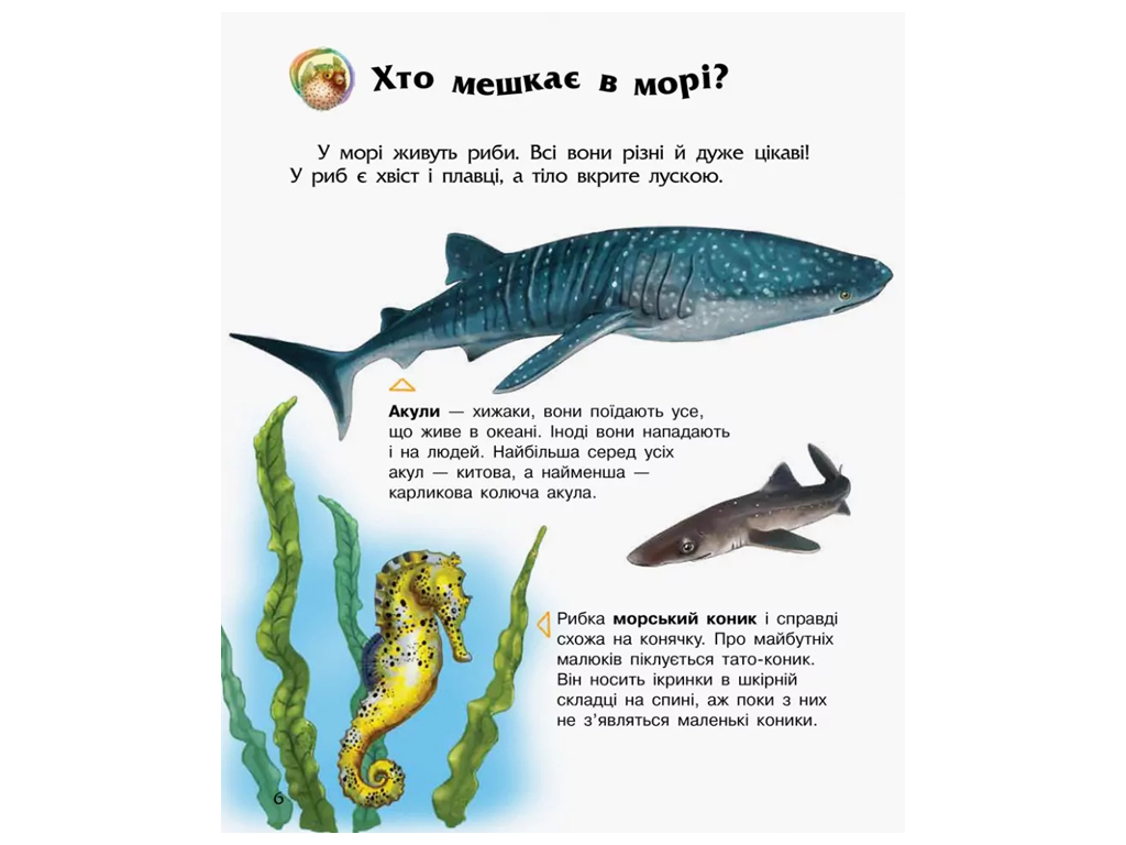 Энциклопедия дошкольника, Океаны и моря, Ранок