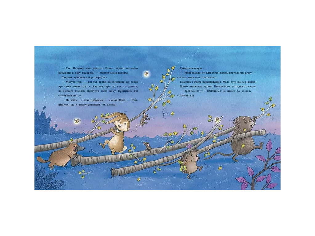 Детская художественная книга "Пакет с клювом", Марлизе Арольд, Ранок