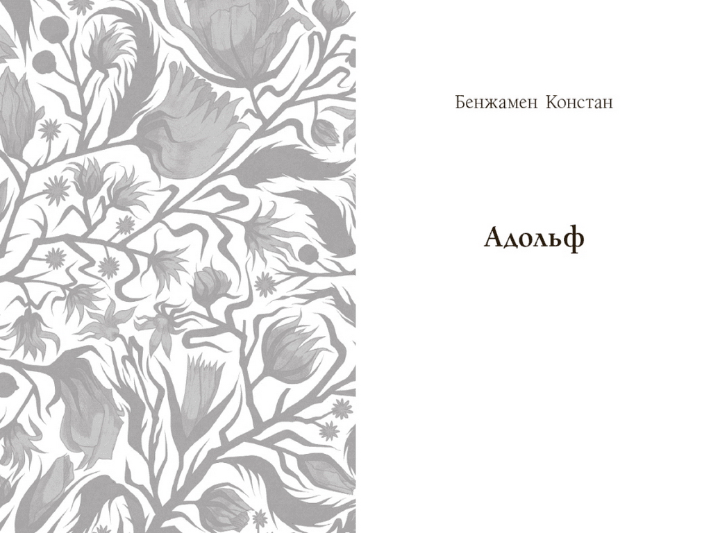 Роман, "Принцеса Клевська. Адольф", М.-М. де Лафайєт, Б. Констан, Readberry