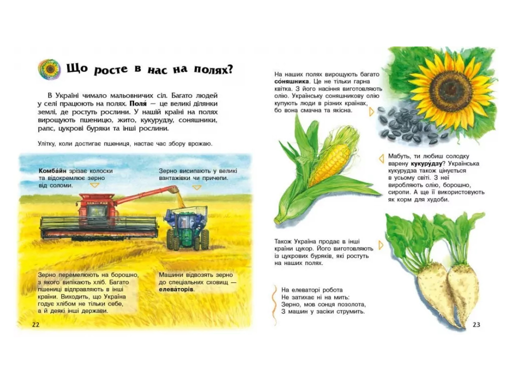 Энциклопедия дошкольника, новая Украина, Ранок С614044У