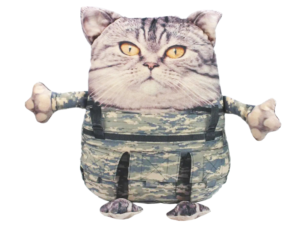 Мягкую игрушку кота (котика, котенка) купить в Омске, цена в интернет-магазине Rich Family