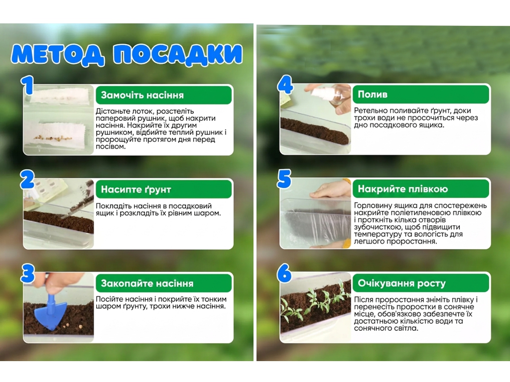 Набор для творчества «Вырасти растение» с семенами и почвой