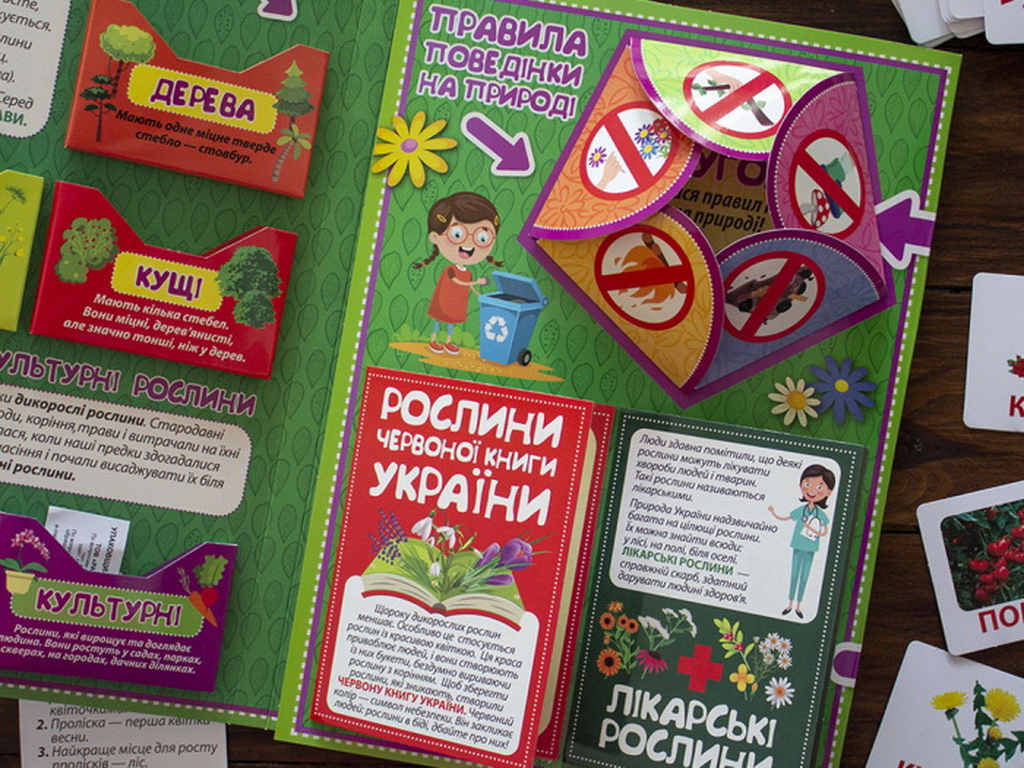 Міні-лепбук “Рослини”, НУШ, 1 клас, Ранок