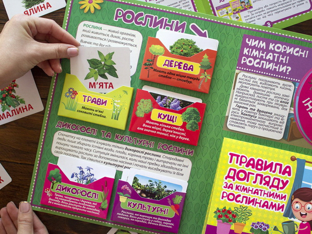 Міні-лепбук “Рослини”, НУШ, 1 клас, Ранок